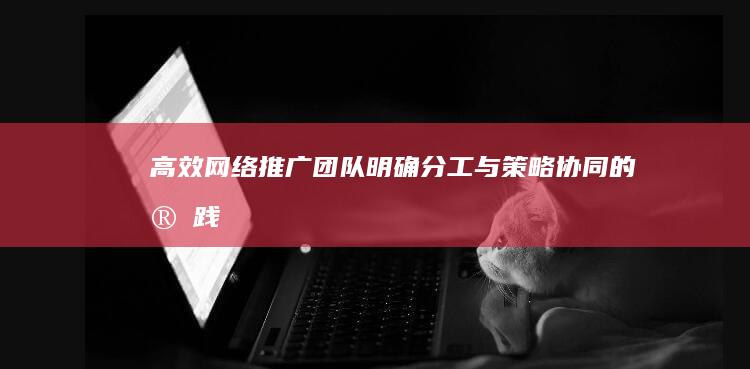 高效网络推广团队：明确分工与策略协同的实践